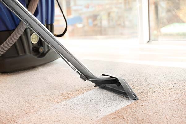 Carpet cleaning Auckland